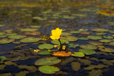 Similar image 17248882