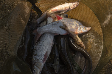 Similar image 17248896