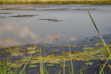 Similar image 17248913