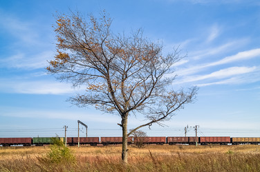 Similar image 17248918