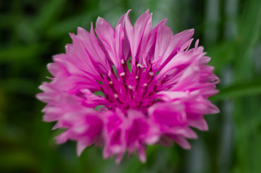 Similar image 17248884