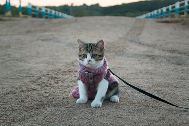 Similar image 17248890