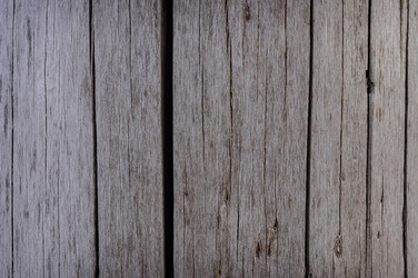 Similar image 17248902