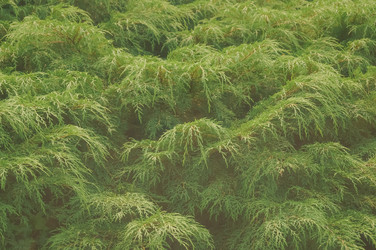 Similar image 17248906