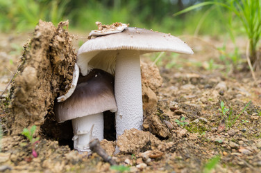 Similar image 17248907