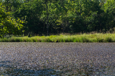 Similar image 17248908