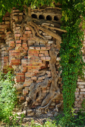 Similar image 17543798