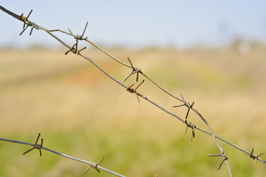 Similar image 17543801