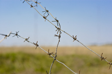 Similar image 17543821