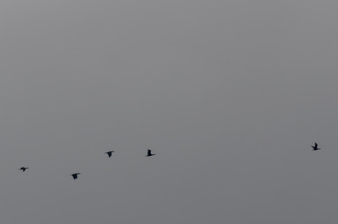 Similar image 17248910