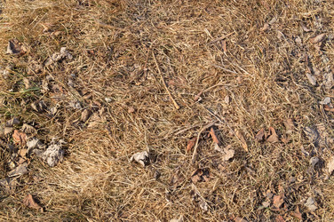 Similar image 17248912