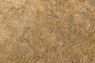 Similar image 17248914