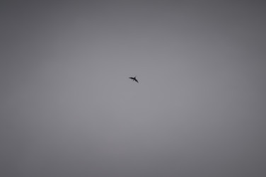 Similar image 17248917