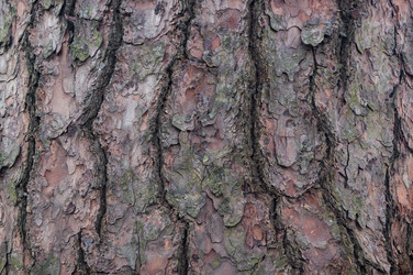 Similar image 17248922