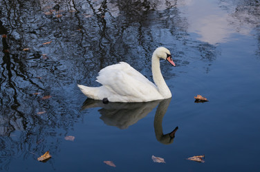 Similar image 17248941