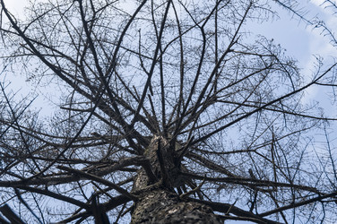 Similar image 17248942