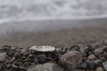 Similar image 17248944