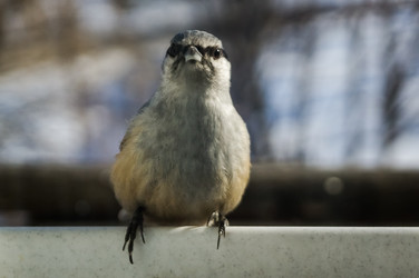 Similar image 17248947