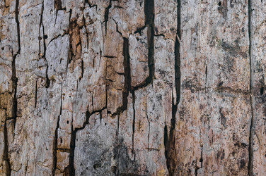 Similar image 17248772