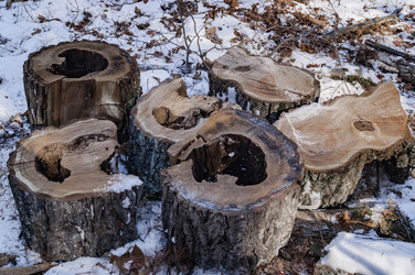 Similar image 17248773