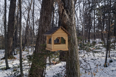 Similar image 17248774