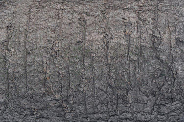 Similar image 17248775