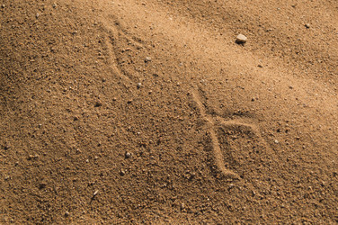 Similar image 17248776