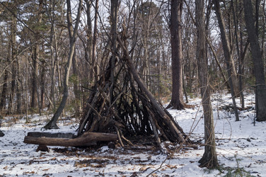 Similar image 17248778