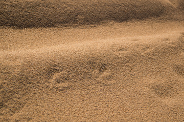 Similar image 17248779