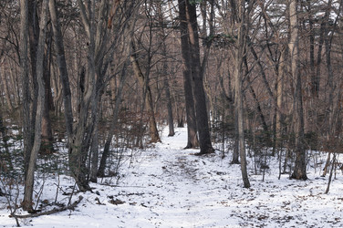 Similar image 17248780