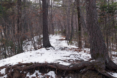 Similar image 17248781