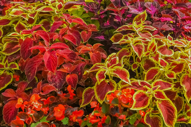 Similar image 17248798