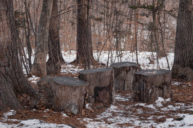 Similar image 17248799