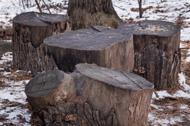 Similar image 17248804