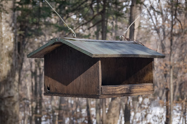 Similar image 17248806