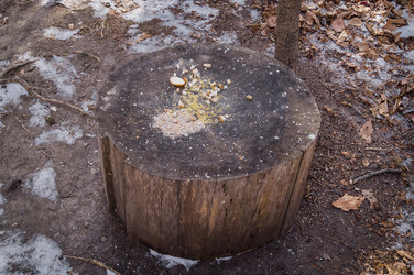 Similar image 17248784