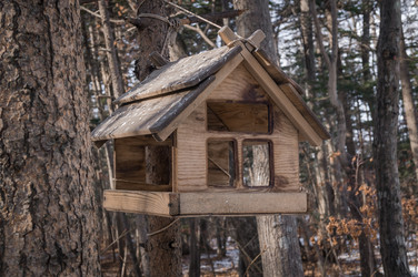 Similar image 17248786