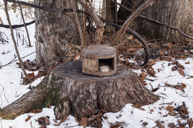 Similar image 17248789