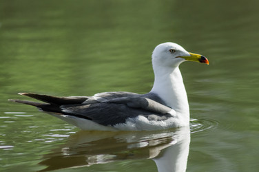 Similar image 17248790