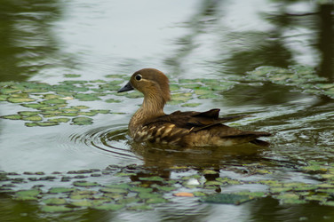 Similar image 17248791