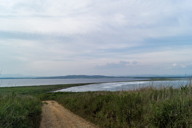 Similar image 17248797