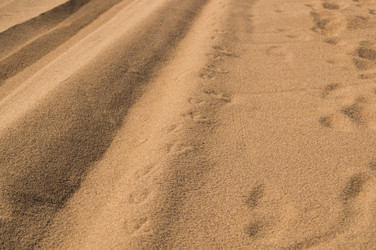 Similar image 17248819