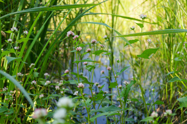 Similar image 17248820