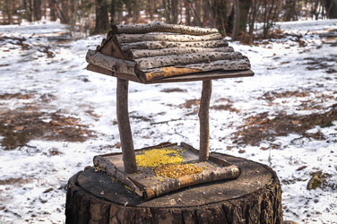 Similar image 17248833