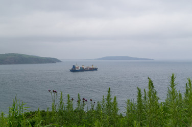 Similar image 17248853