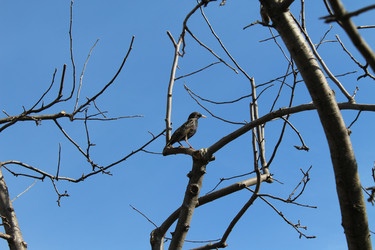 Similar image 17245617