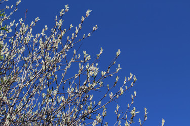 Similar image 17245619