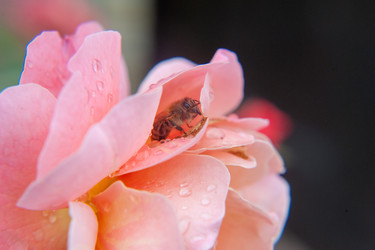 Similar image 17248575