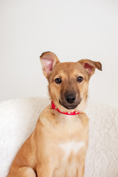 Similar image 17248577