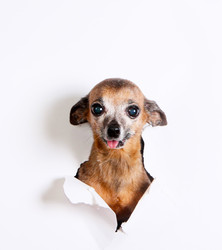 Similar image 17247416